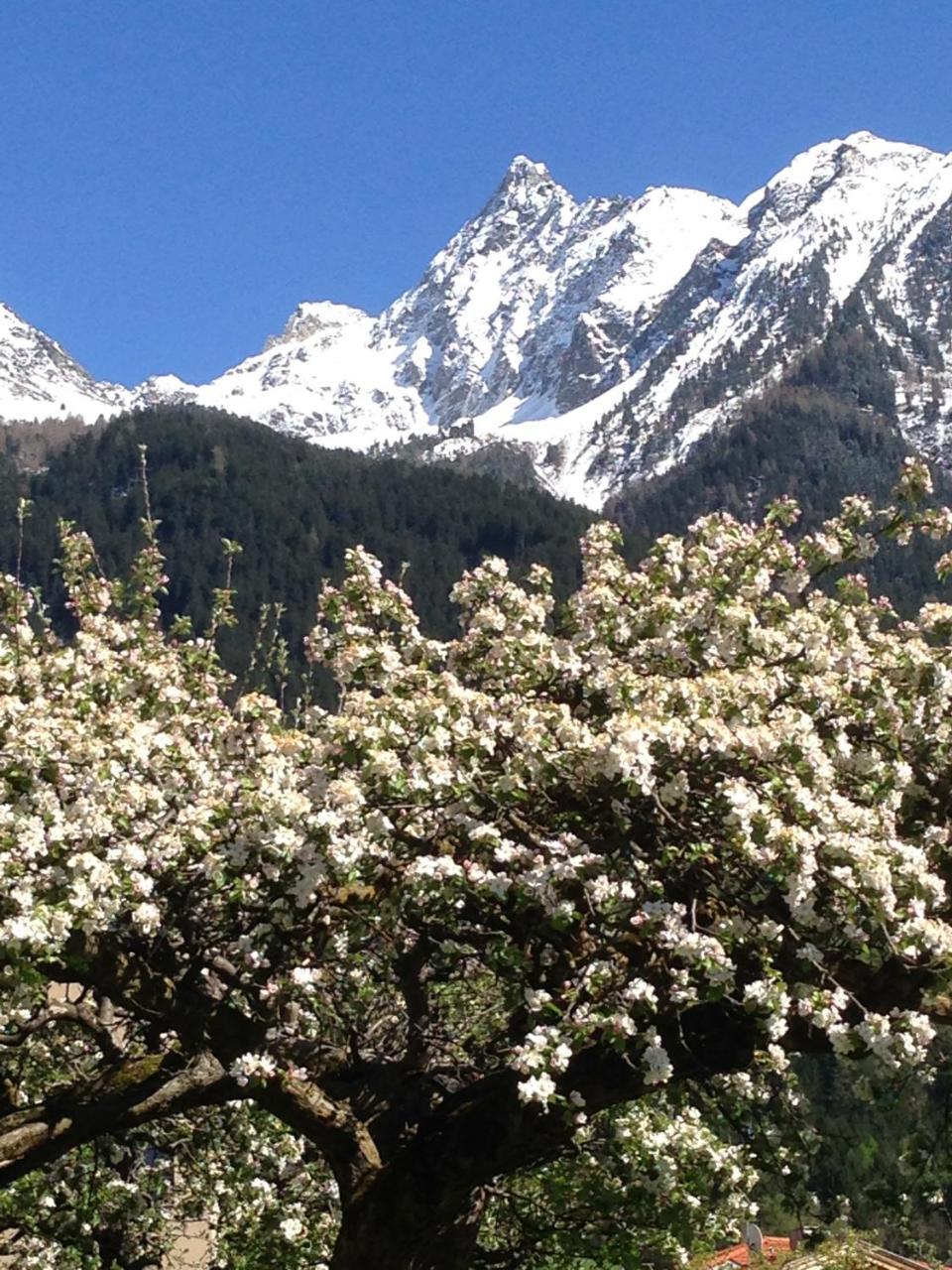 Gasthof Zum Stern Oetz Buitenkant foto
